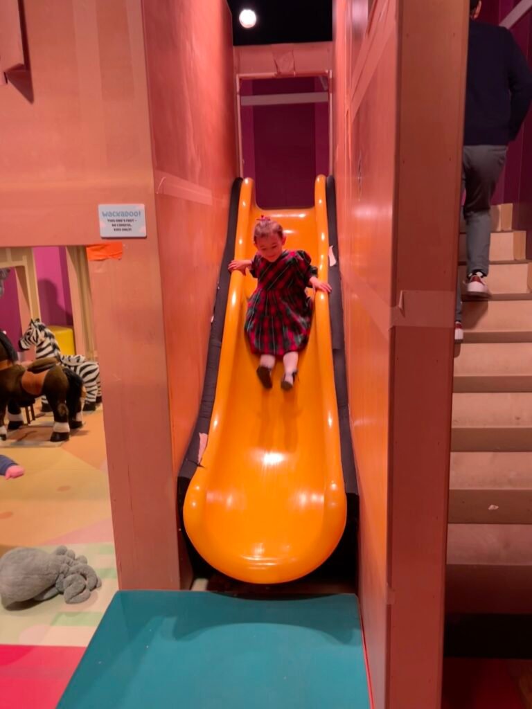 Slide at the Bluey x CAMP store experience