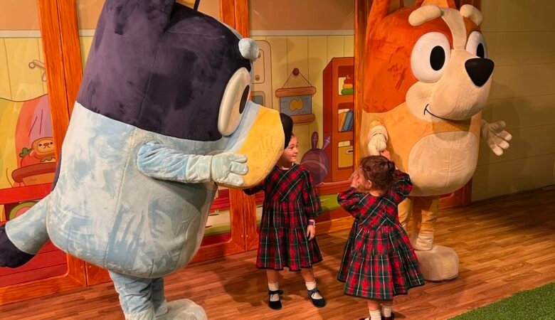 Bluey & Bingo x CAMP store