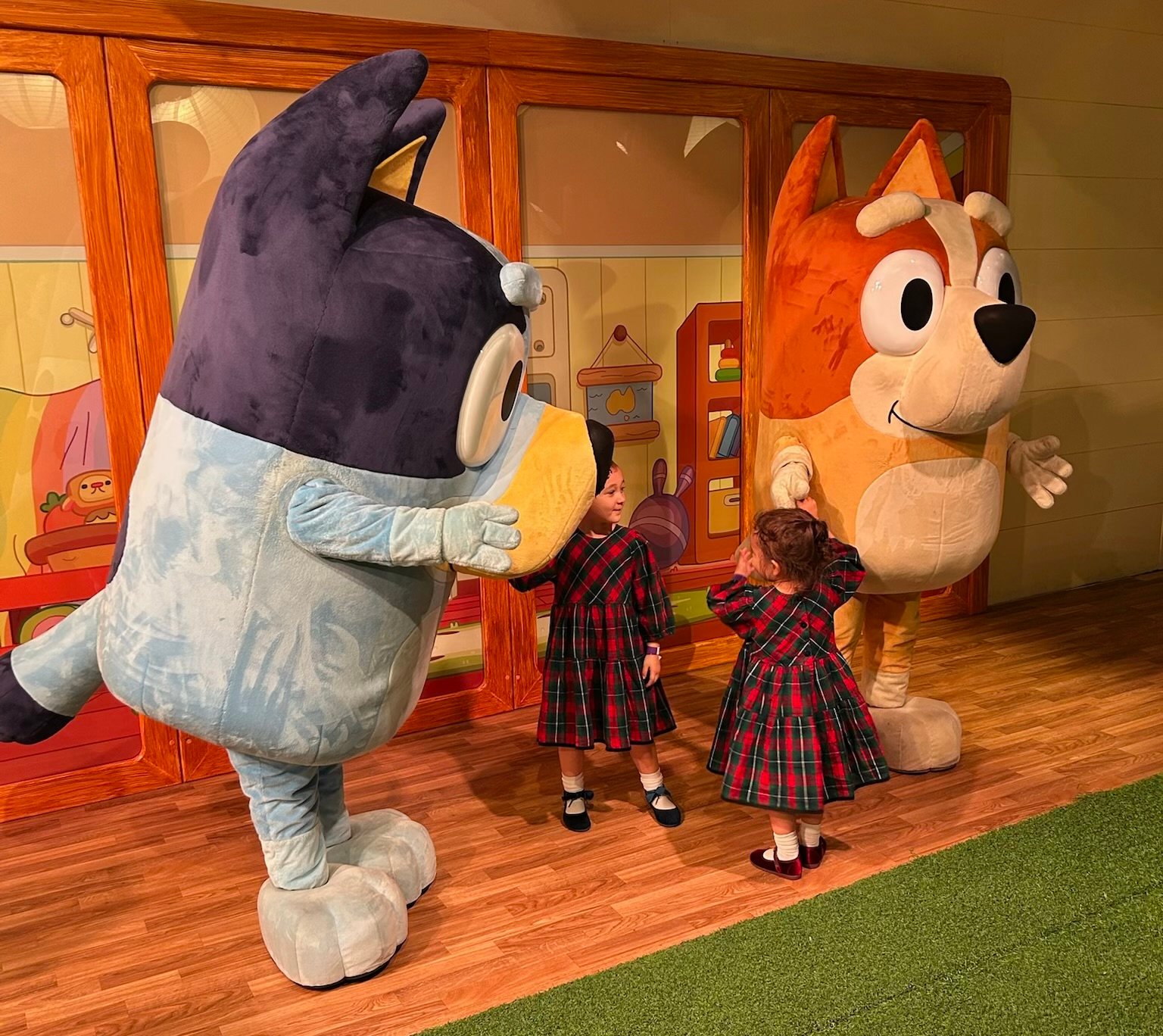 Bluey x CAMP: Bluey’s House: Is It Worth It?